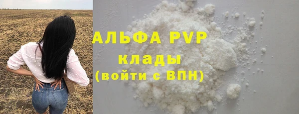 молекула духа Ладушкин
