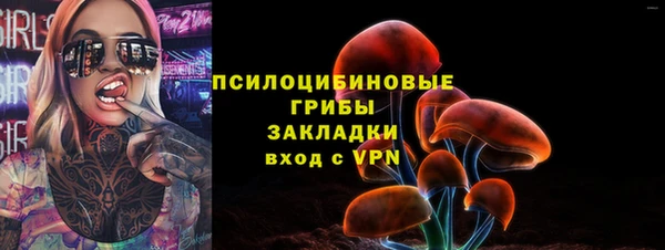 молекула духа Ладушкин