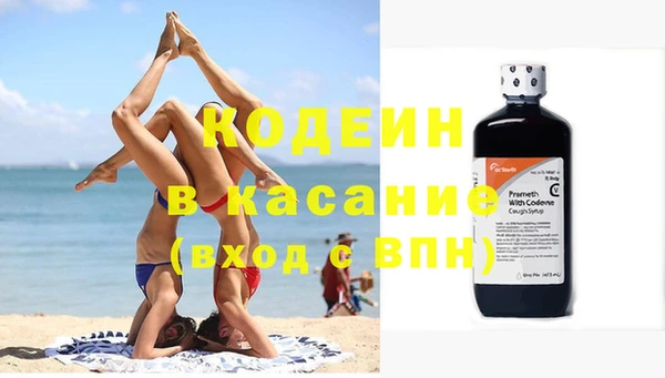 молекула духа Кулебаки