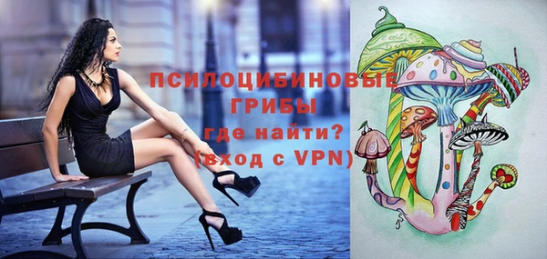 молекула духа Ладушкин
