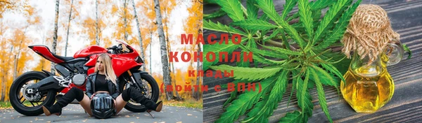 молекула духа Ладушкин