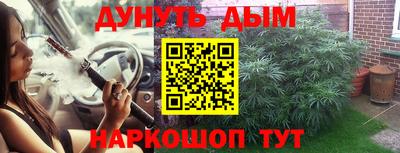 прущие грибы Кингисепп