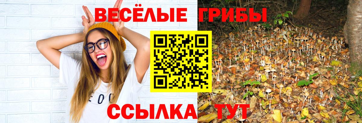 Псилоцибиновые грибы прущие грибы Малоярославец